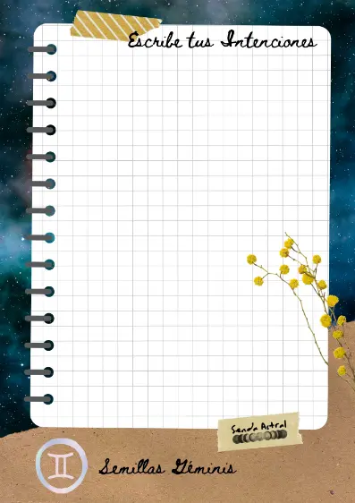 Semillas e Intenciones (7)